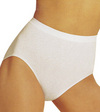 Barely There Microfiber Damask Seamless Brief